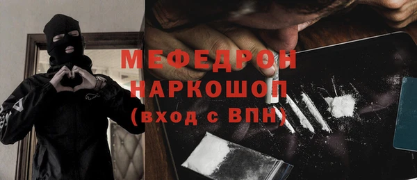 индика Аркадак