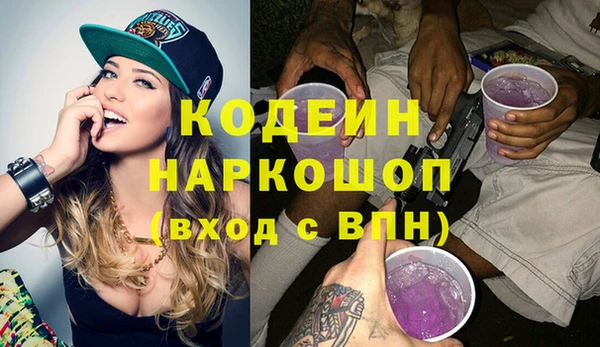 индика Аркадак