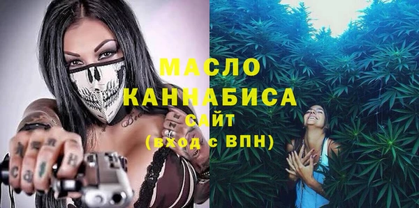 индика Аркадак