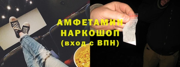 индика Аркадак