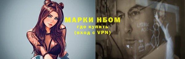 индика Аркадак