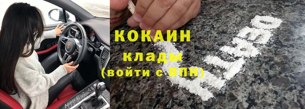 трава Арсеньев