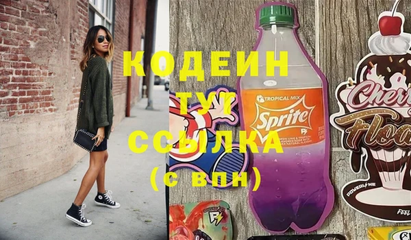 индика Аркадак